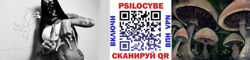 Галлюциногенные грибы Psilocybine cubensis Щёлкино